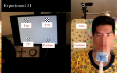 SSVEP_BCI_patient_4class_sub.jpg